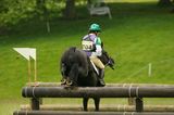 horse hitting a jump 8